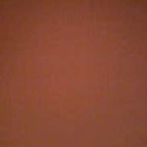 Meet your Posher, Manuela